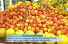 Dieta pobre em frutas e verduras pode prejudicar a saúde e favorecer doenças