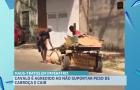 Maus-tratos: cavalo cai após não suportar peso de carga e é chicoteado pelo dono