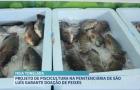 Agro Record: Peixes de projeto social ajudam famílias carentes