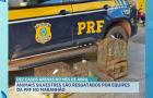 Três aves silvestres são resgatadas pela PRF em Açailândia e Cidelândia
