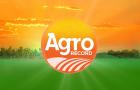 Agro Record: produção de mel em Paço do Lumiar impulsiona economia na Região Metropolitana de São Luís