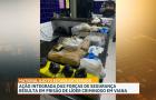 Ação policial apreende armamento e drogas enterradas em residência no município de Viana