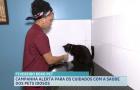 Fevereiro Roxo Pet reforça cuidados com a saúde de animais idosos