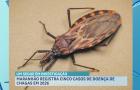 Maranhão registra cinco casos de doença de Chagas em 2026 e acende alerta da saúde