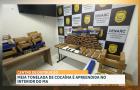 PMMA apreende mais de meia tonelada de maconha no interior do Maranhão