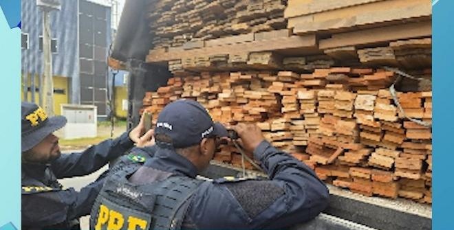 PRF resgata 70 aves mantidas em cativeiro e apreende madeira com documentação inválida em municípios